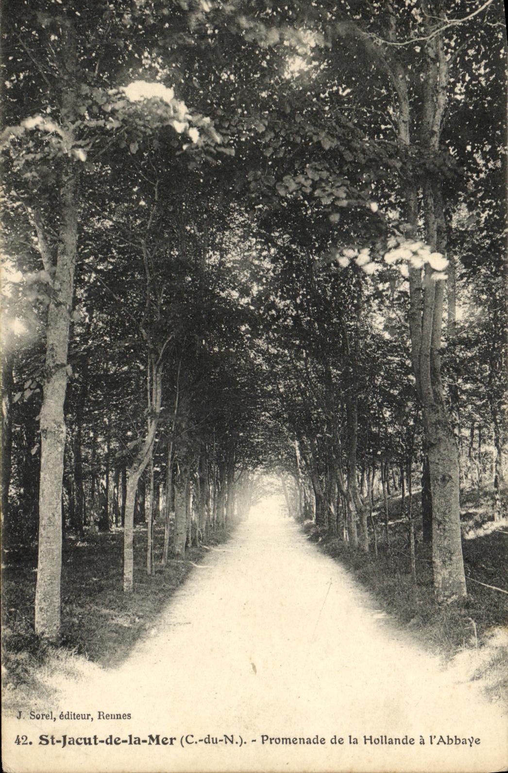 CPA Saint Jacut de la Mer Promenade de la Hollande a L Abbaye