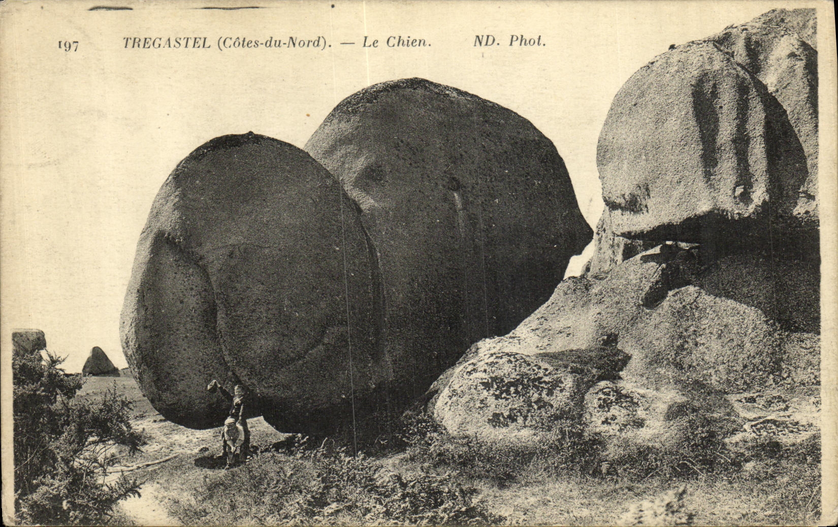 CPA Tregastel Le Chien
