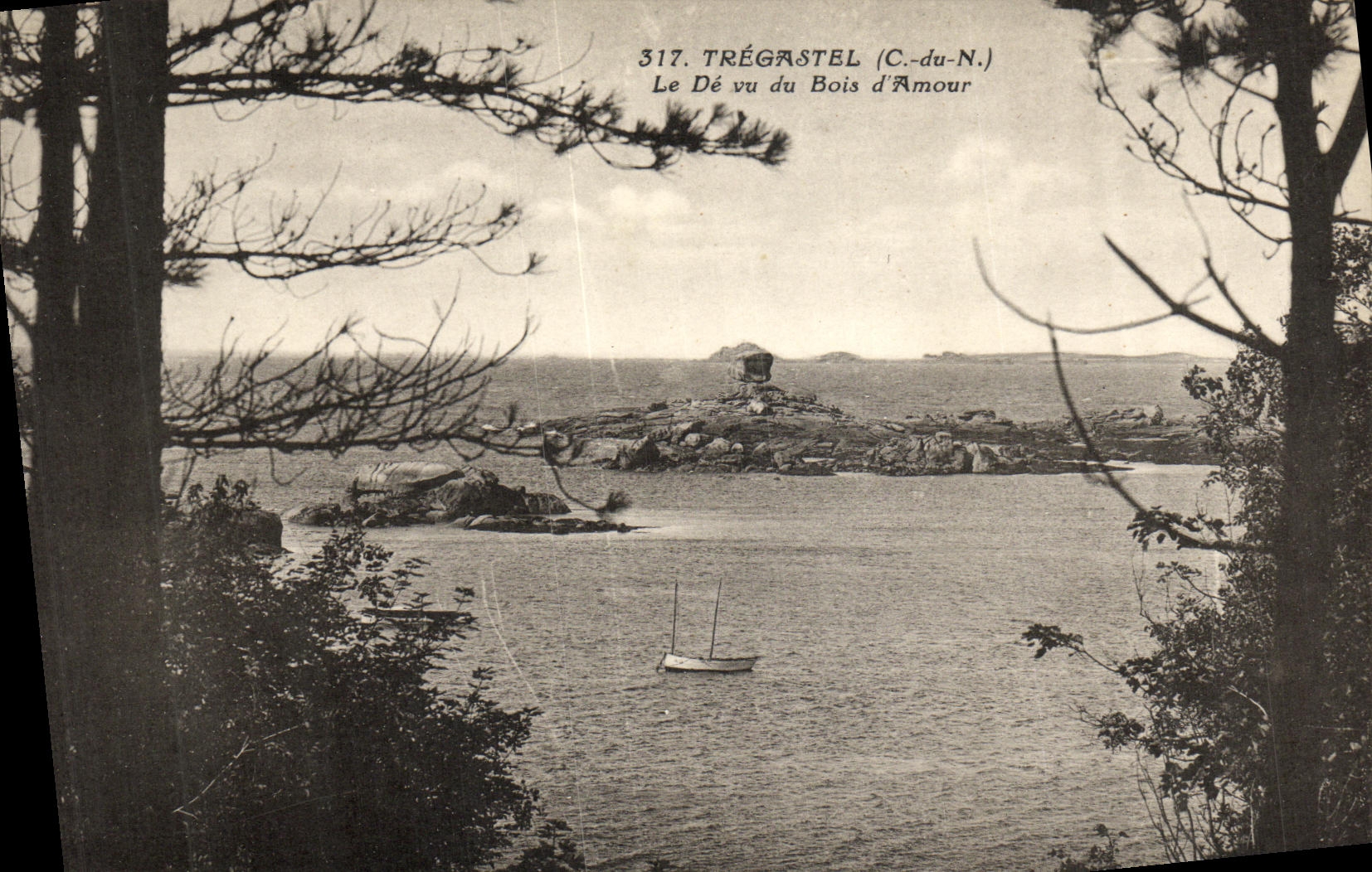 CPA Tregastel Le De Vu Du Bois d Amour
