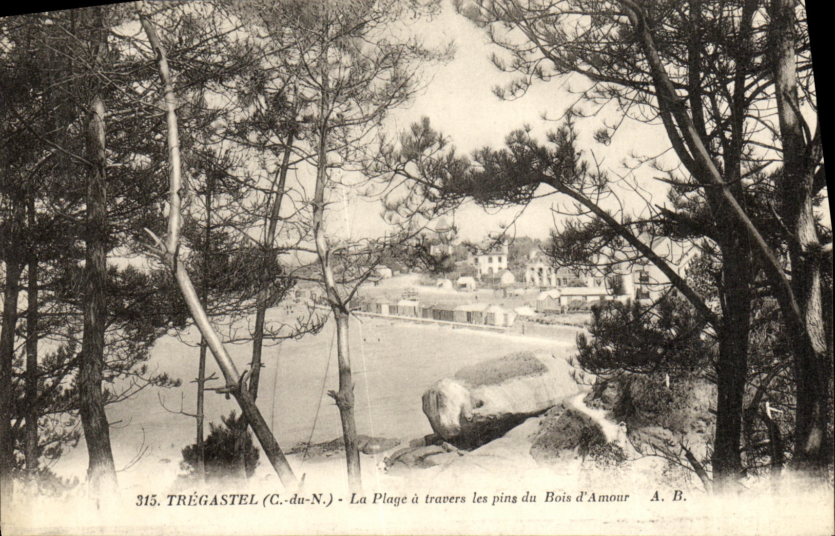 CPA Tregastel La Plage a Travers les Pins du Bois d Amour