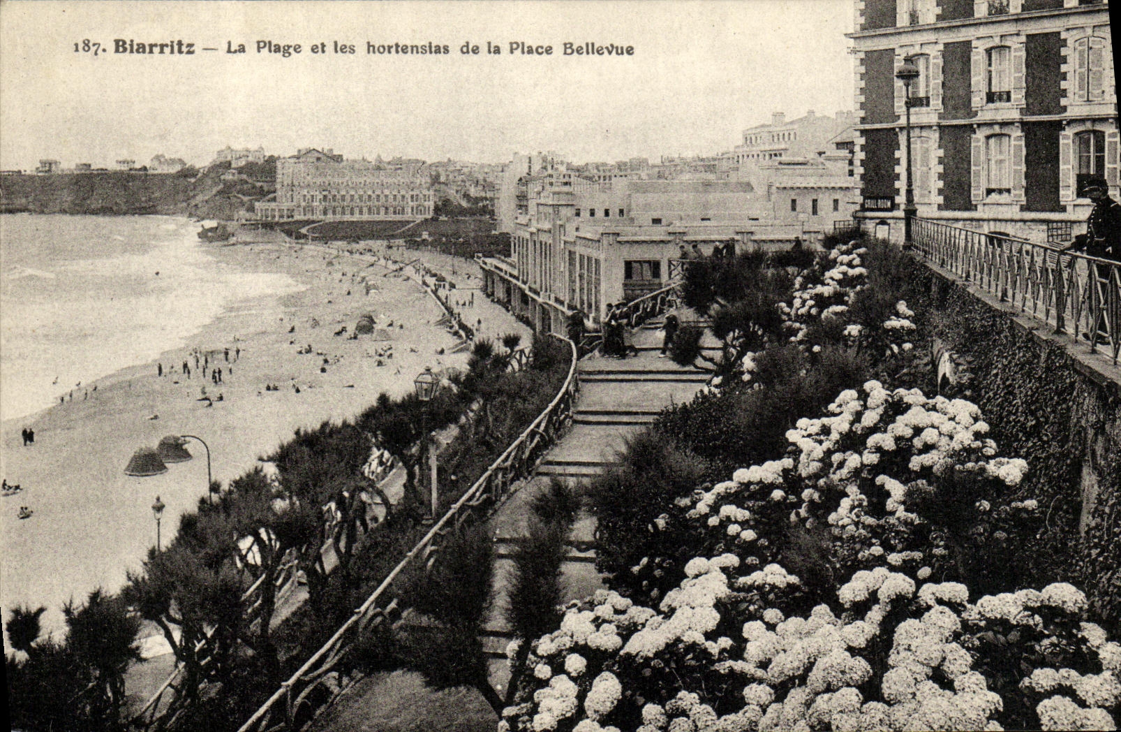 CPA Biarritz La Plage et les hortensias de la Place Bellevue