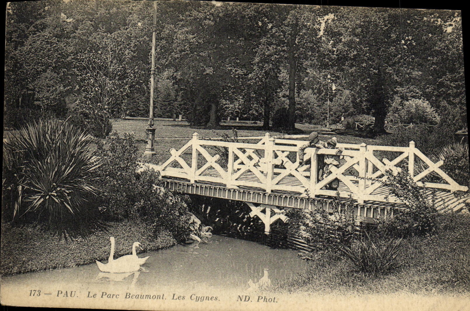 VINTAGE POSTCARD Pau the Beaumont Park Swans