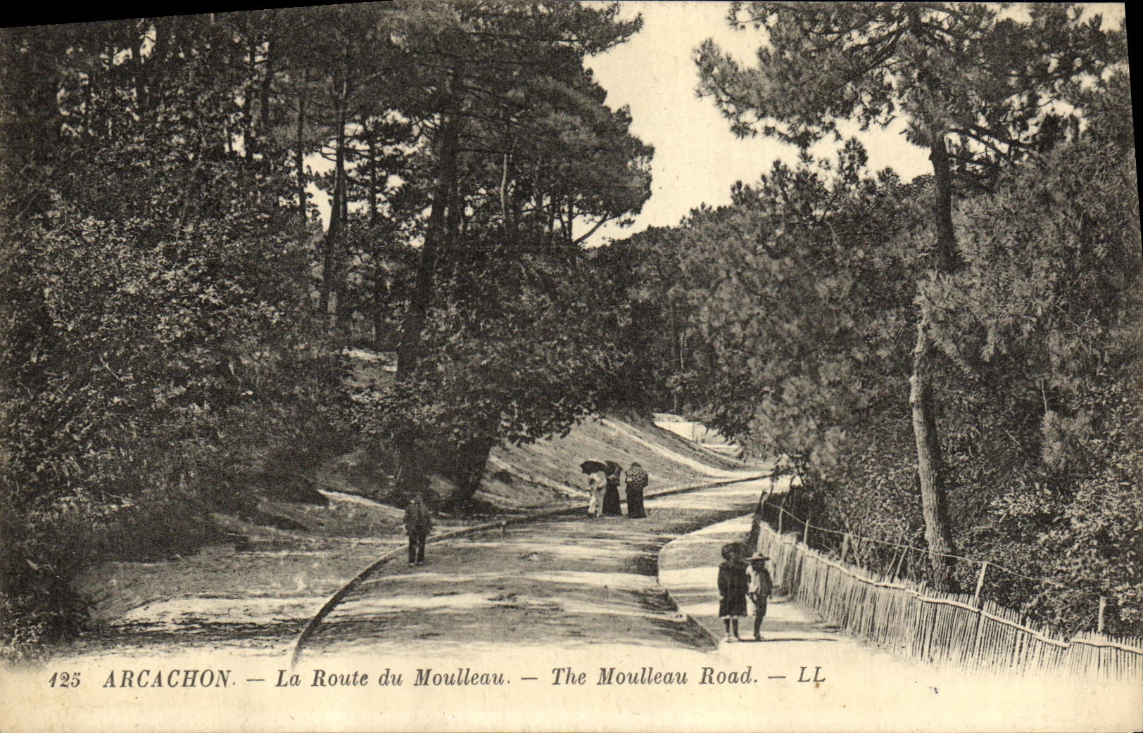 CPA Arcachon La Route du Moulleau 