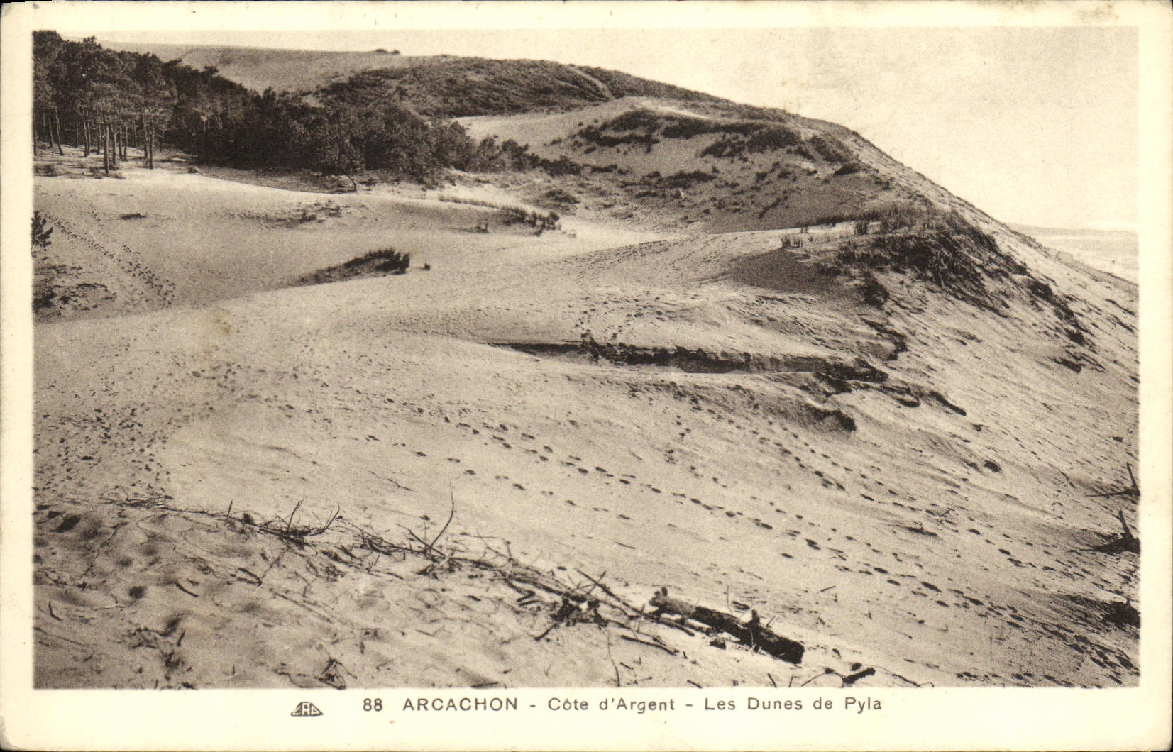 CPA Arcachon Cote d Argent Les Dunes de Pyla