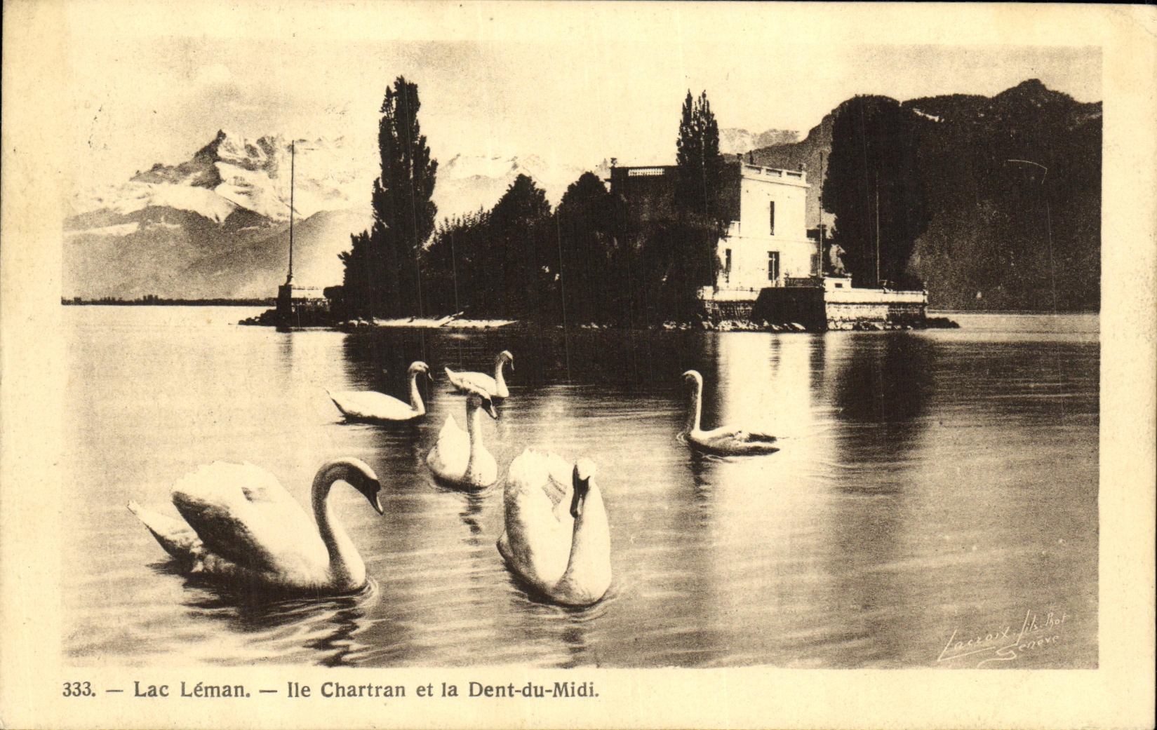 VINTAGE POSTCARD Lake Leman Island Chartran and Dent du midi Swans