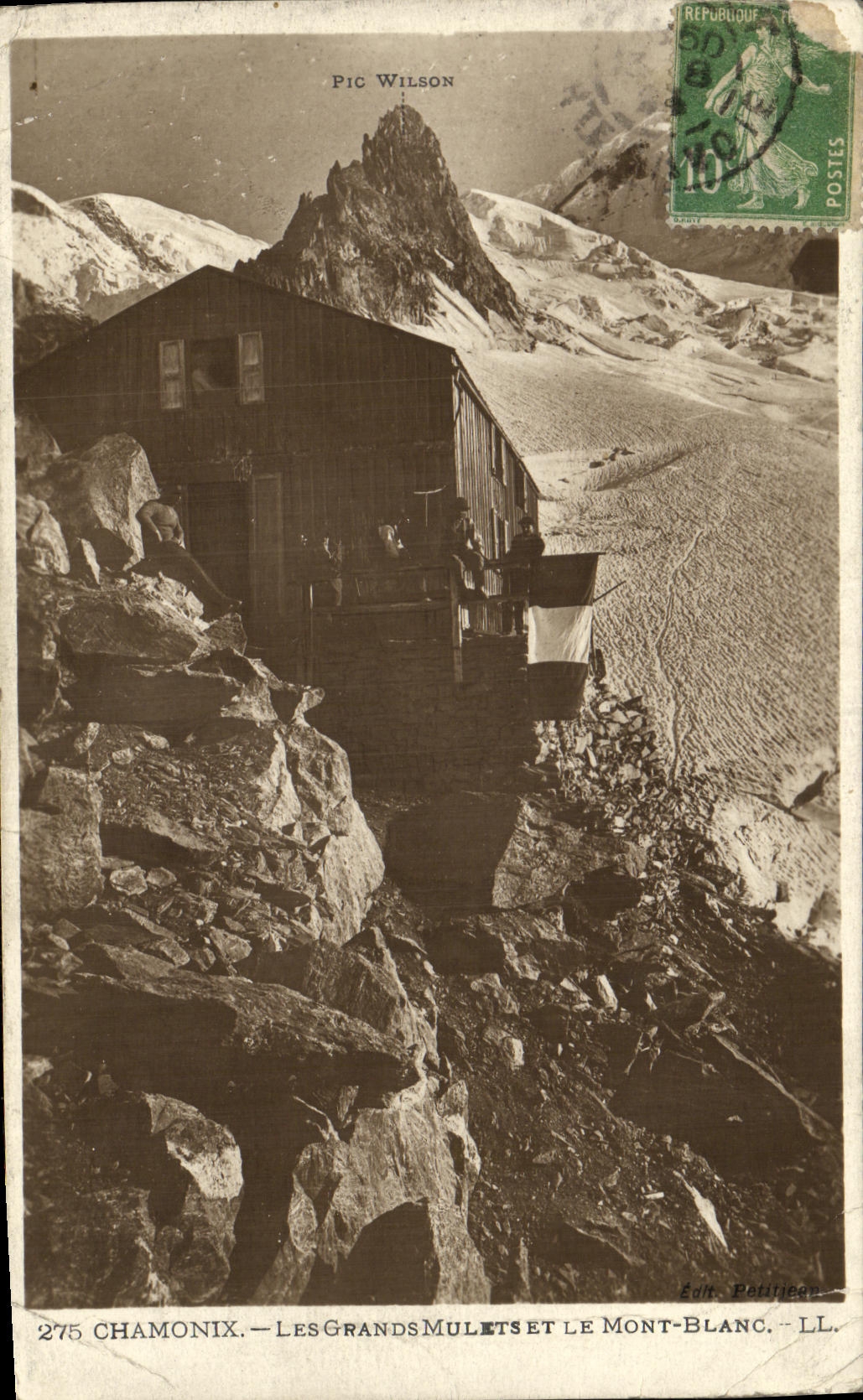 VINTAGE POSTCARD Chamonix Large Mules and Mont Blanc