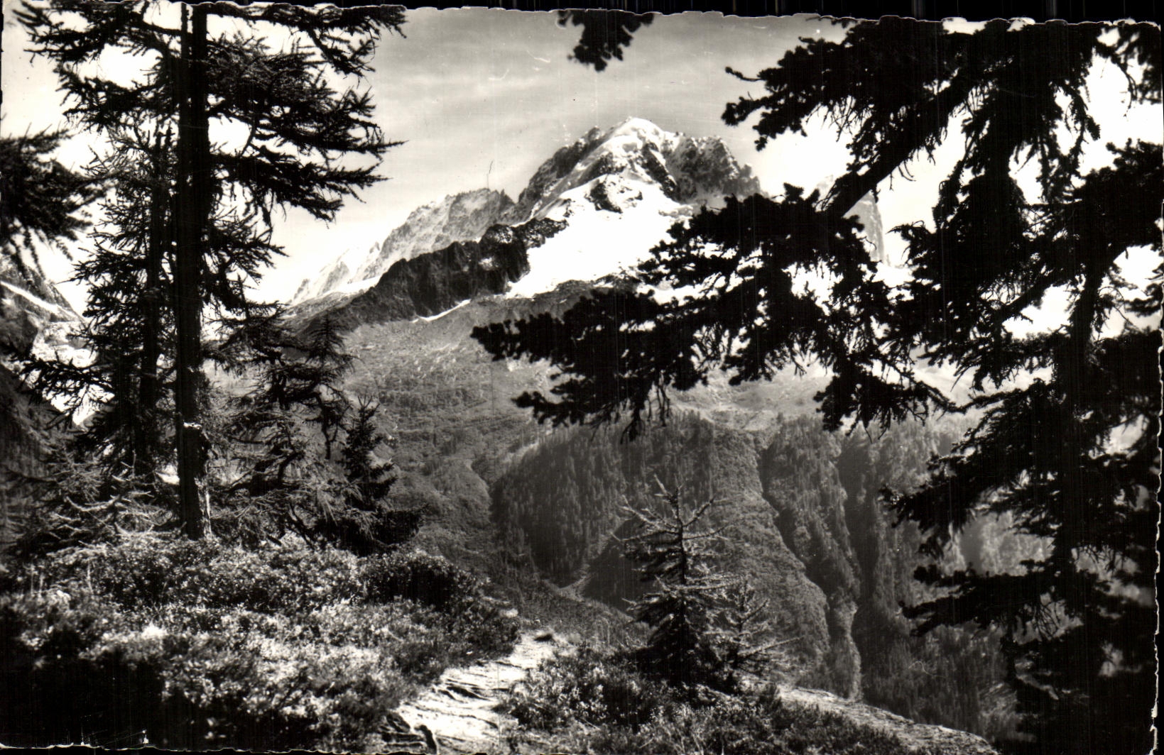 MODERN CARD Chamonix Mont Blanc a Small path