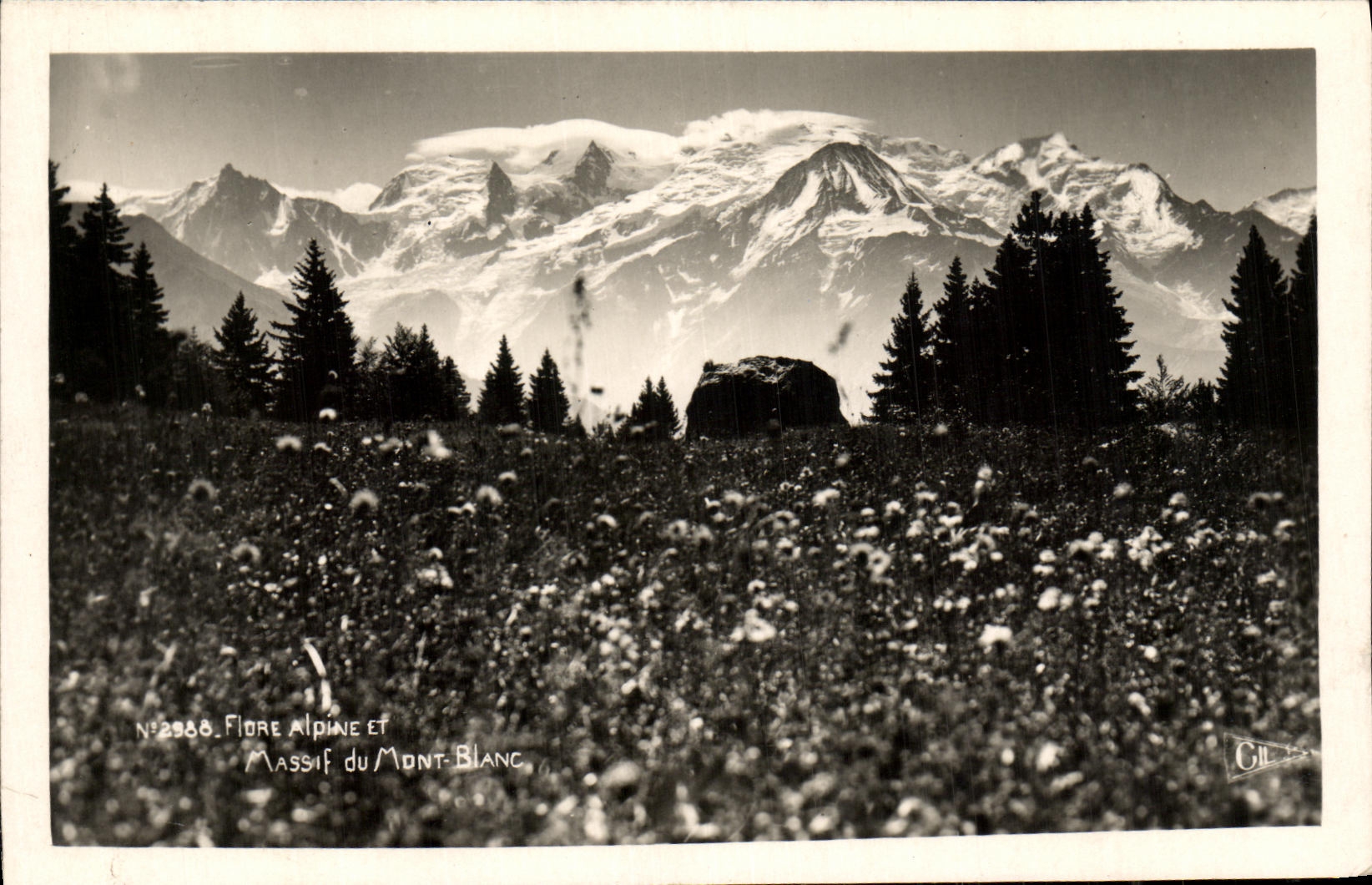 VINTAGE POSTCARD Chamonix Mont Blanc Solid mass