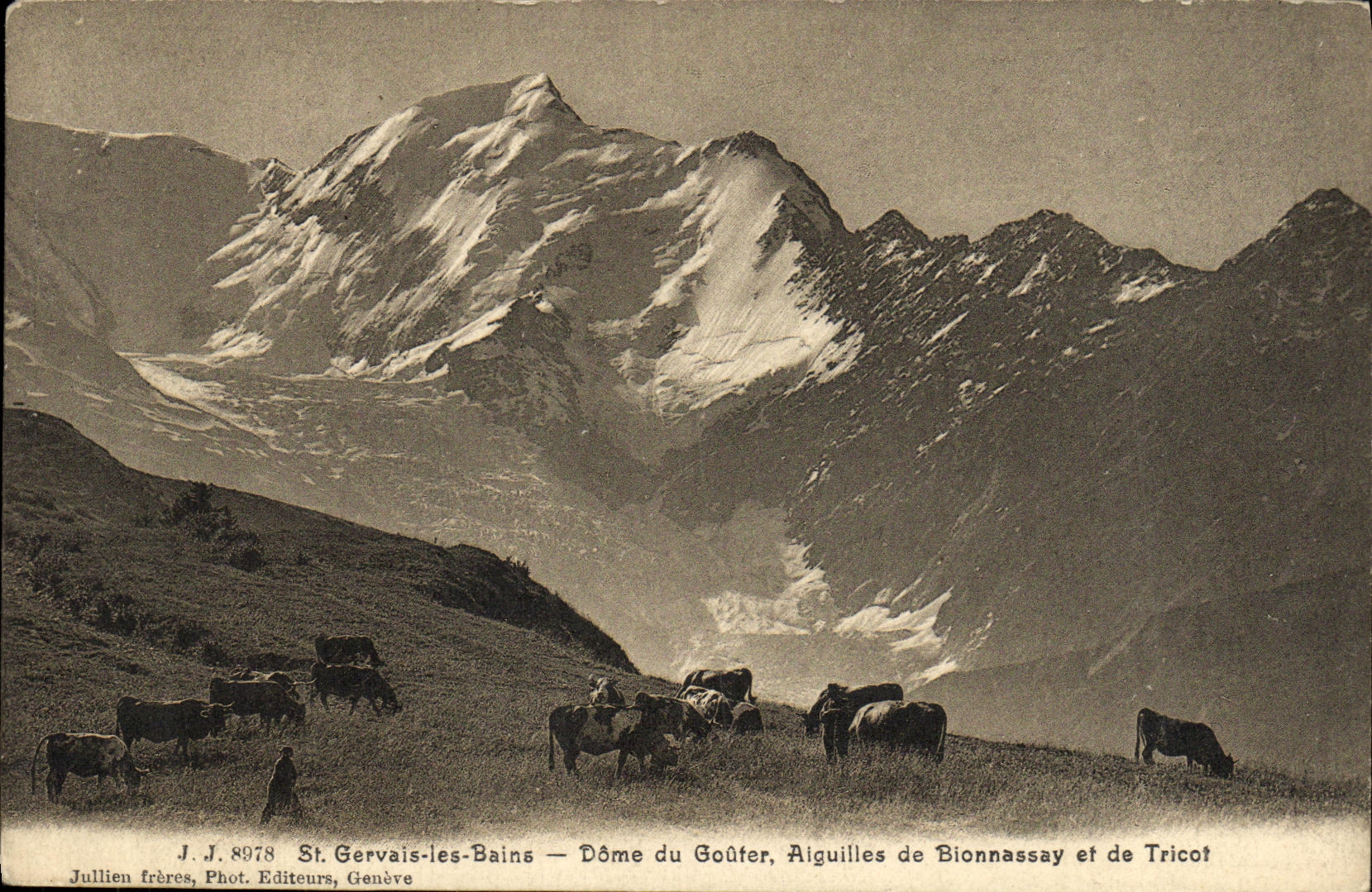 VINTAGE POSTCARD St Gervais les Bains Dome Of Tasting Needles of Bionnassay and Knitting Cows