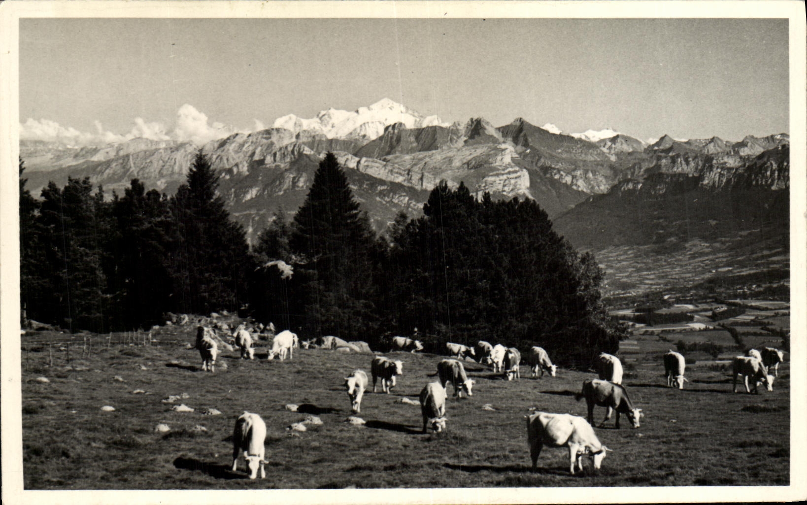 CPA Le Saleve Vue sur le Mont Blanc 