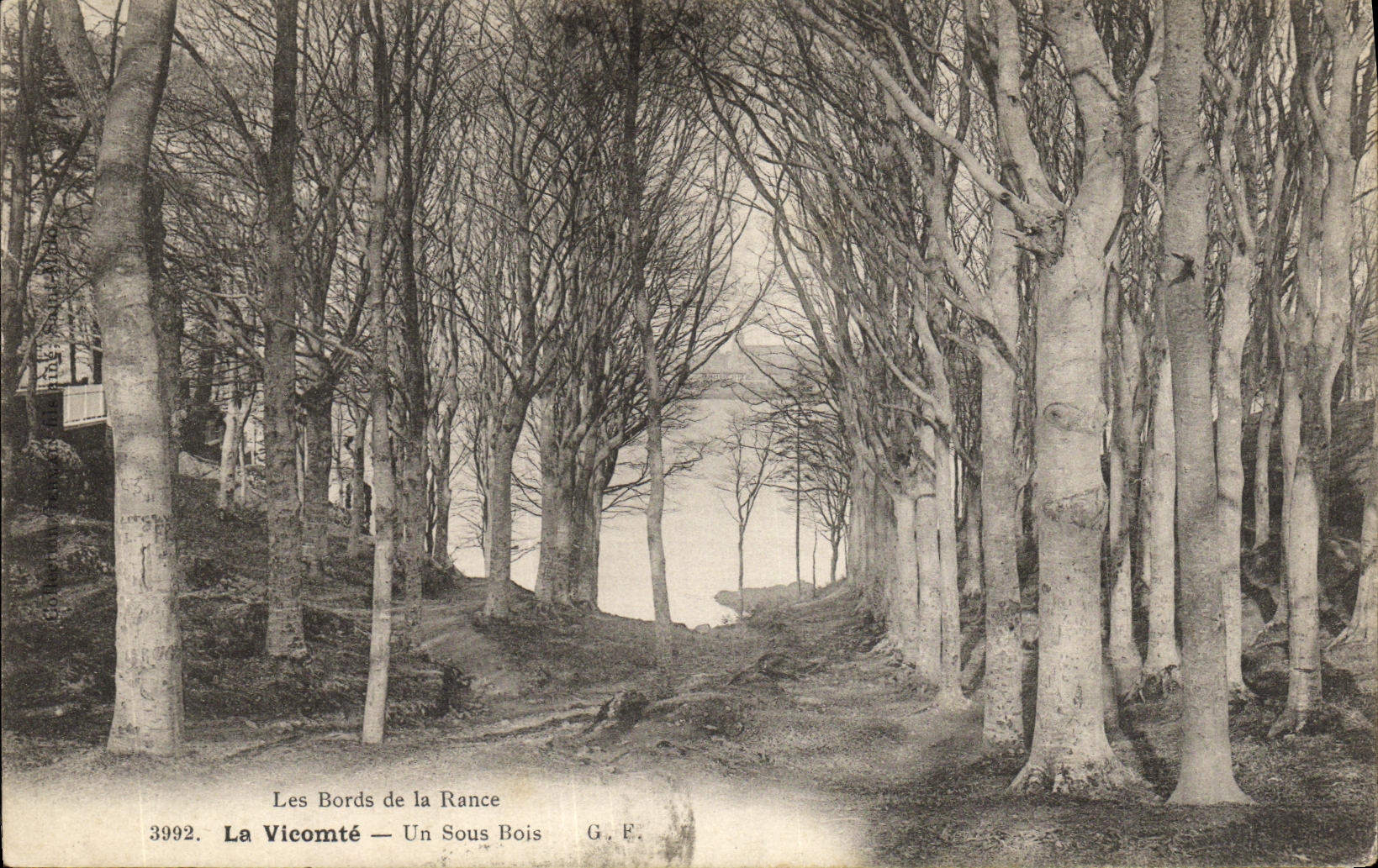 CPA La Vicomte Un Sous Bois
