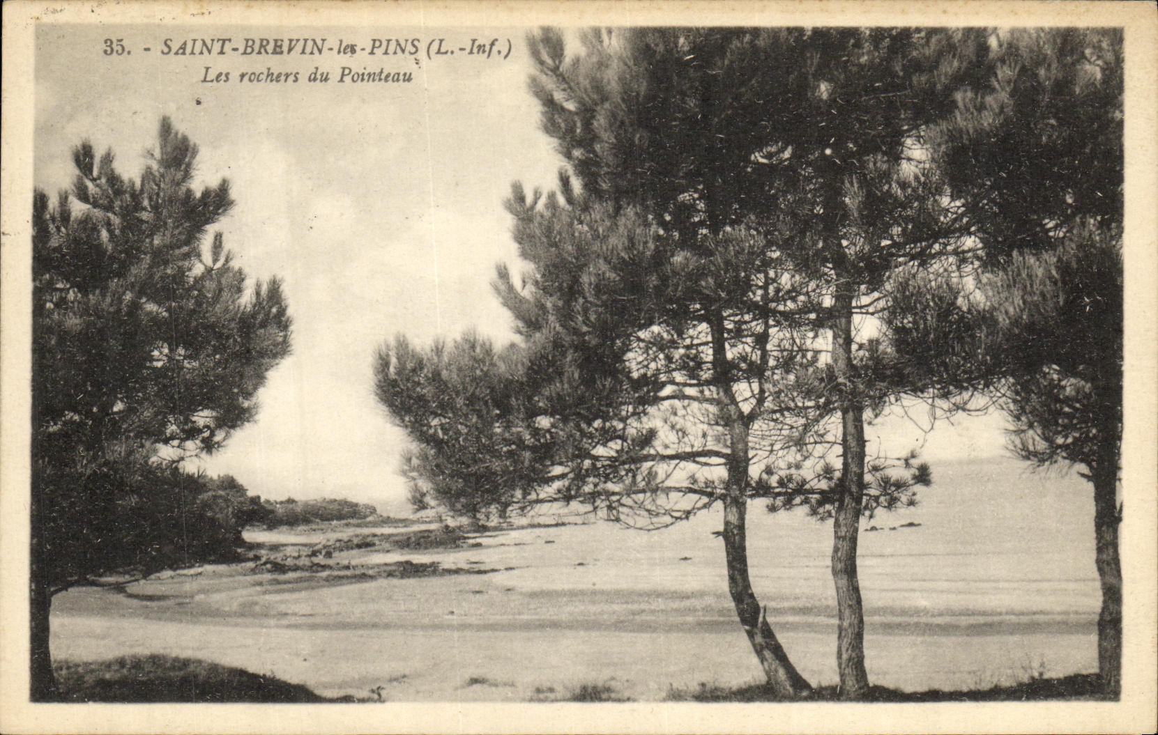 VINTAGE POSTCARD Holy Brevin Pines Rocks of the Punch