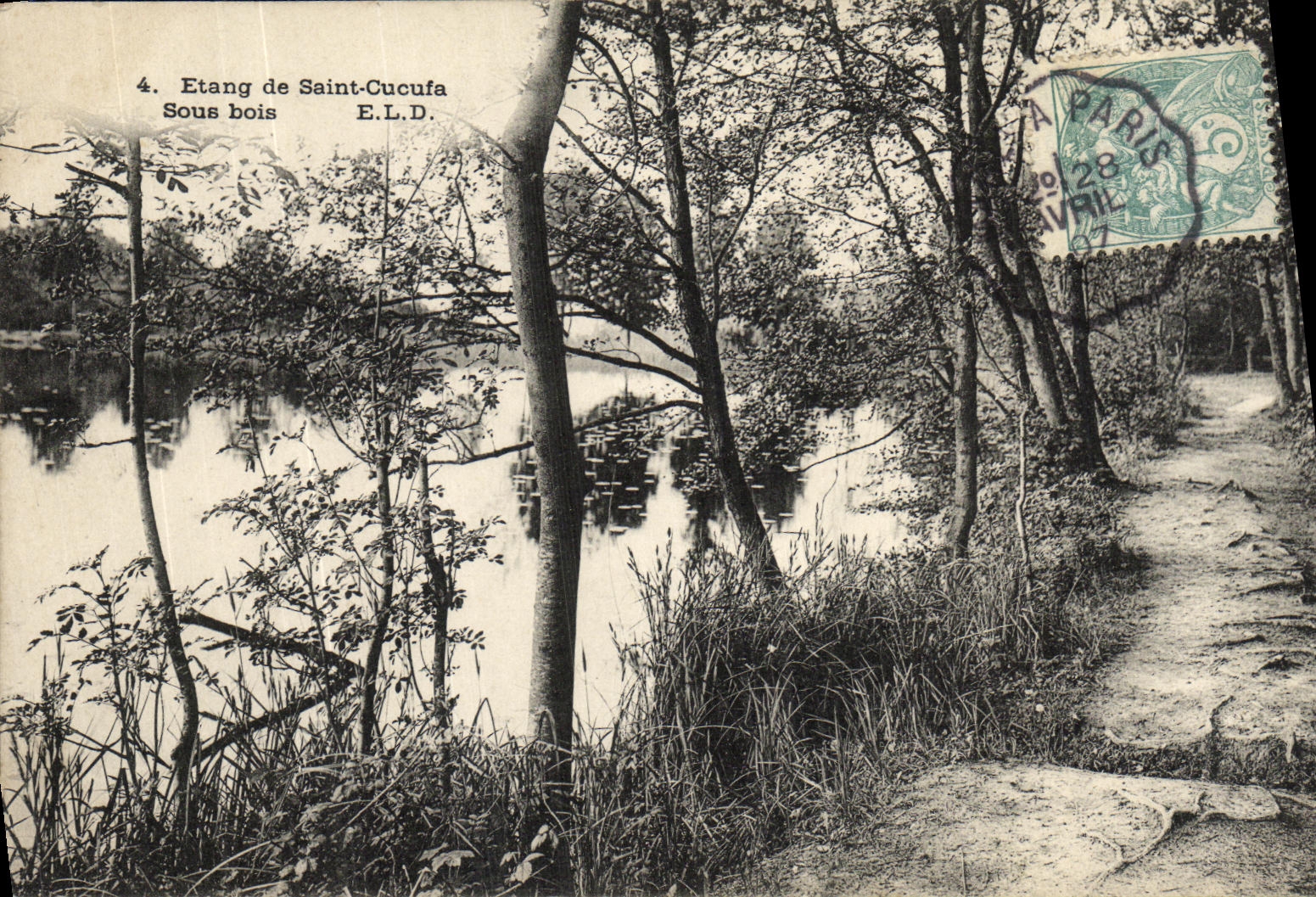 CPA Etang de Saint Cucufa Sous Bois