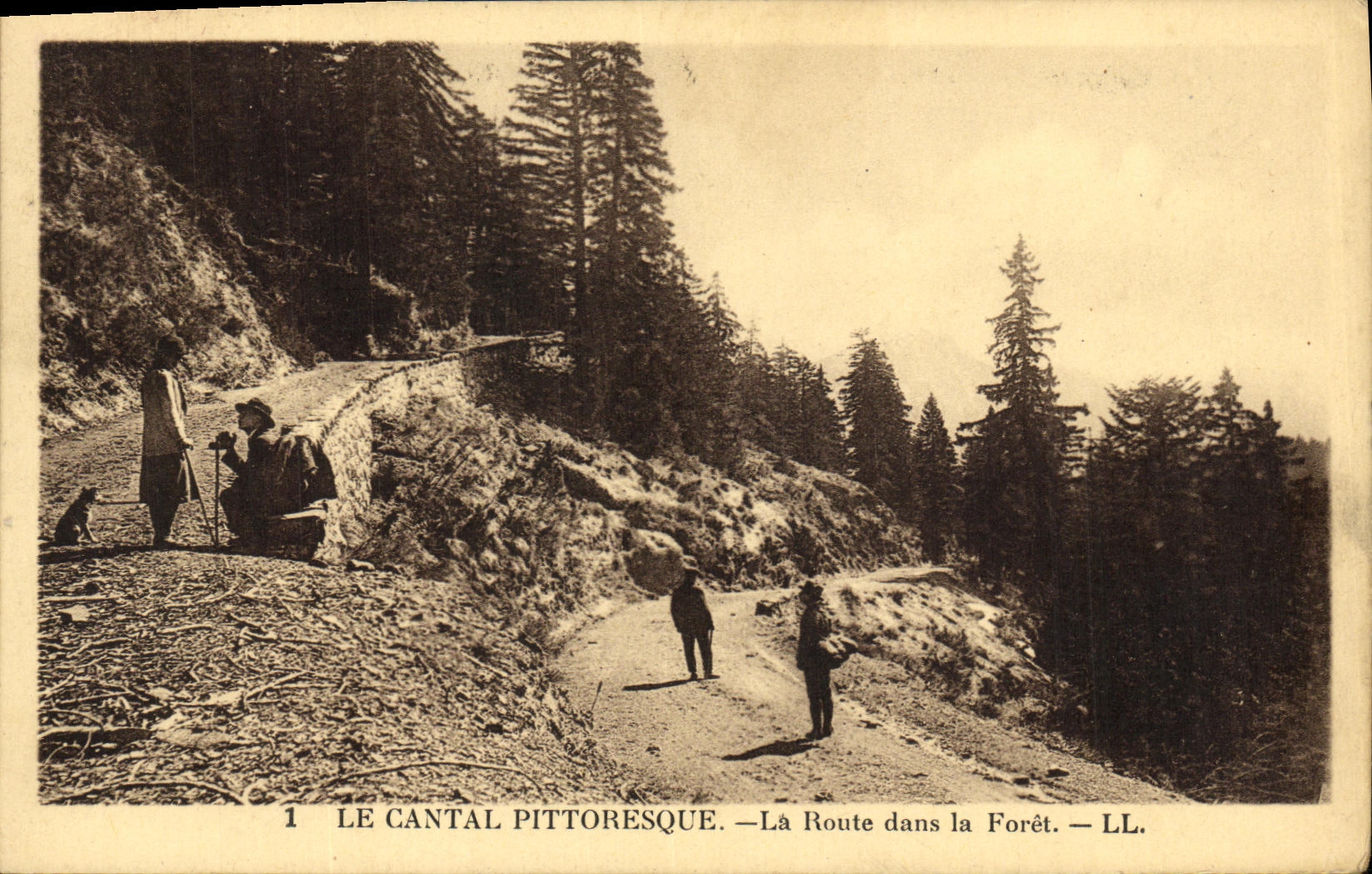 CPA Le Cantal Pittoresque La Route Dans la Foret