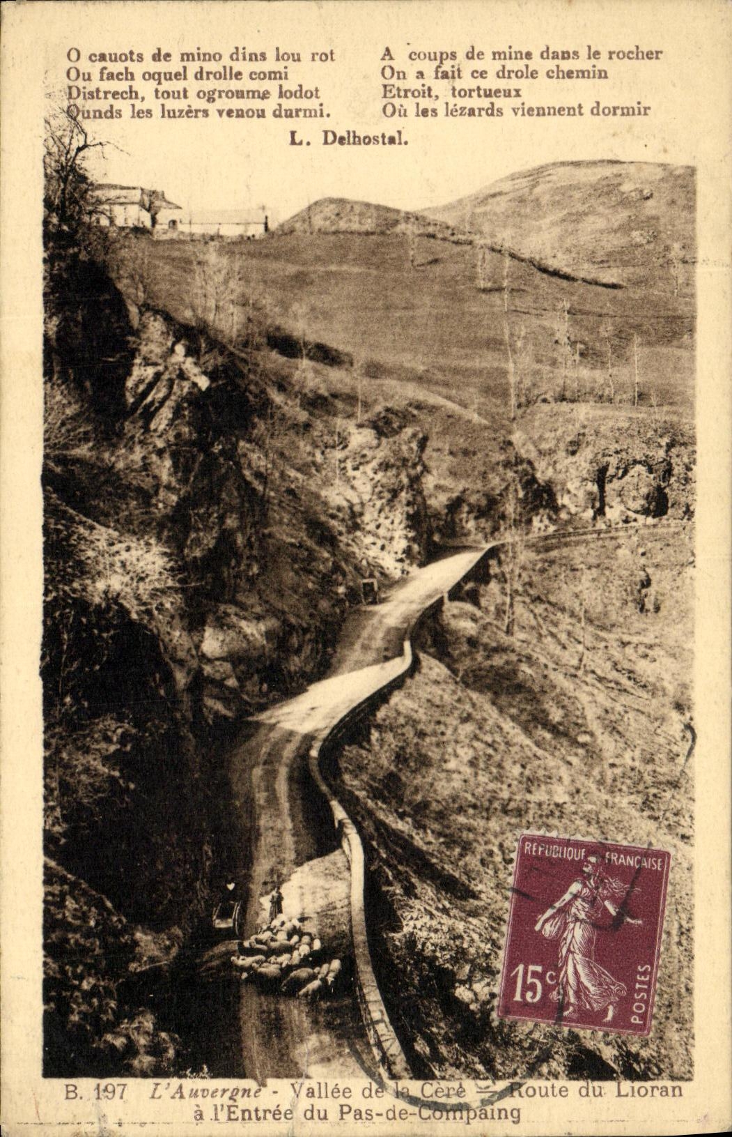 CPA L Auvergne Vallee de La Cene Route du Lioran Moutons