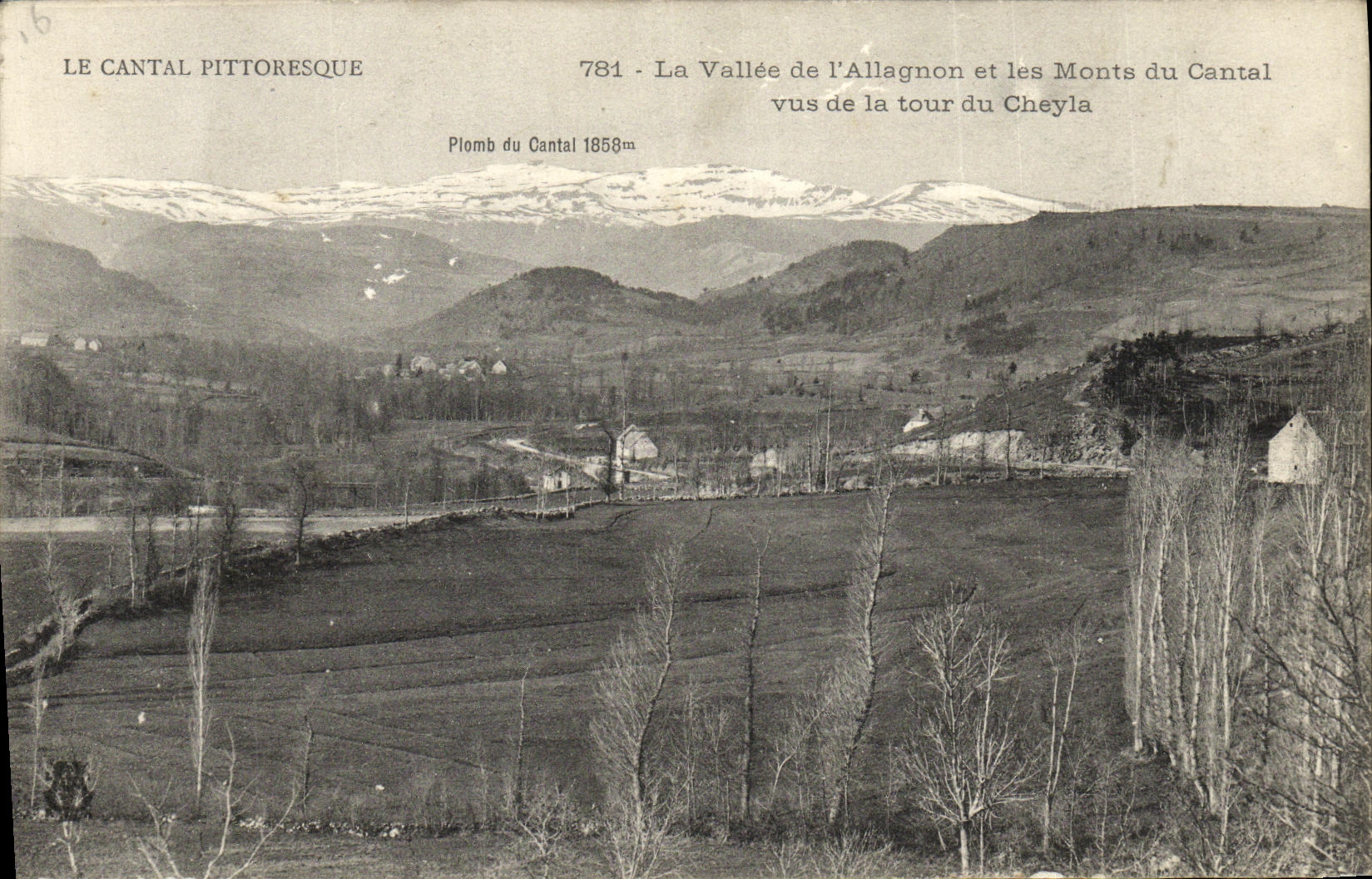 CPA La Vallee de l Allagnon et les Monts du Cantal vus de la tour du Cheyla