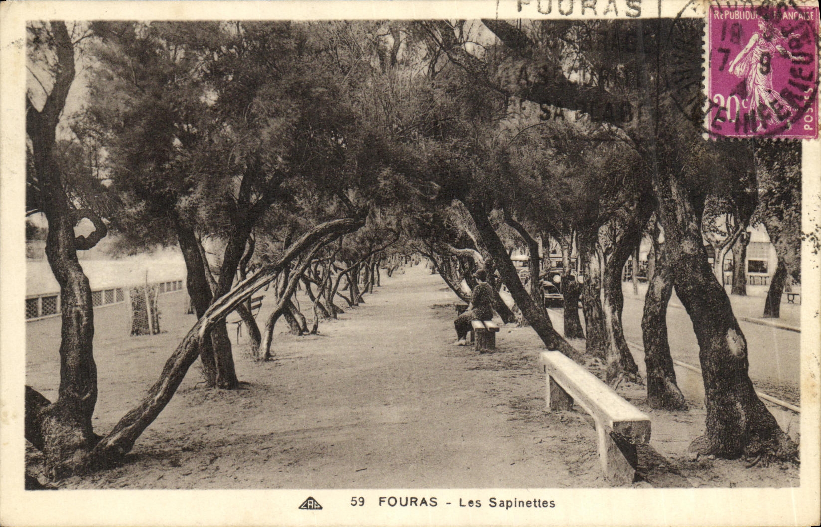 CPA Fouras les Sapinettes