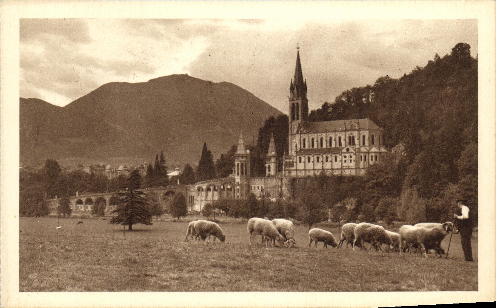 CPA Lourdes La Basilique Vue de la prairie de la Grotte