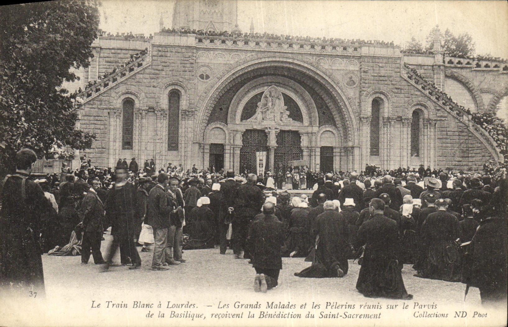 CPA Lourdes Le Train Blanc Les Grands Malades et Les Pelerins Reunius sur le Parvis
