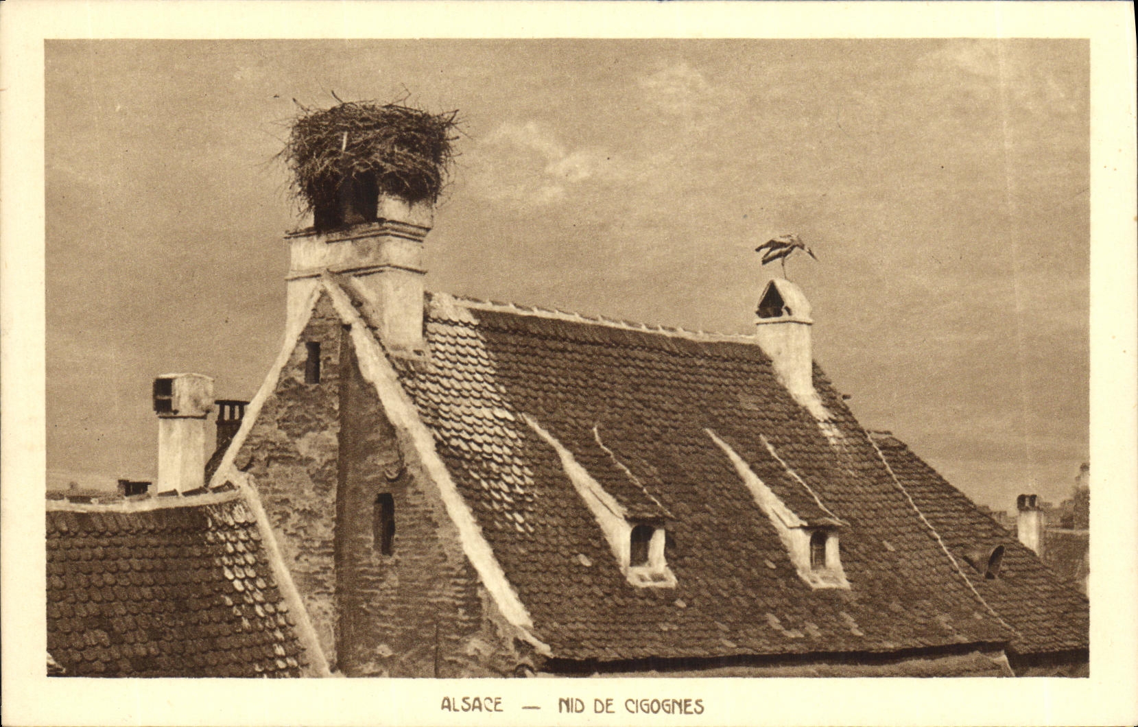 VINTAGE POSTCARD Alsace Nest De Cilgognes