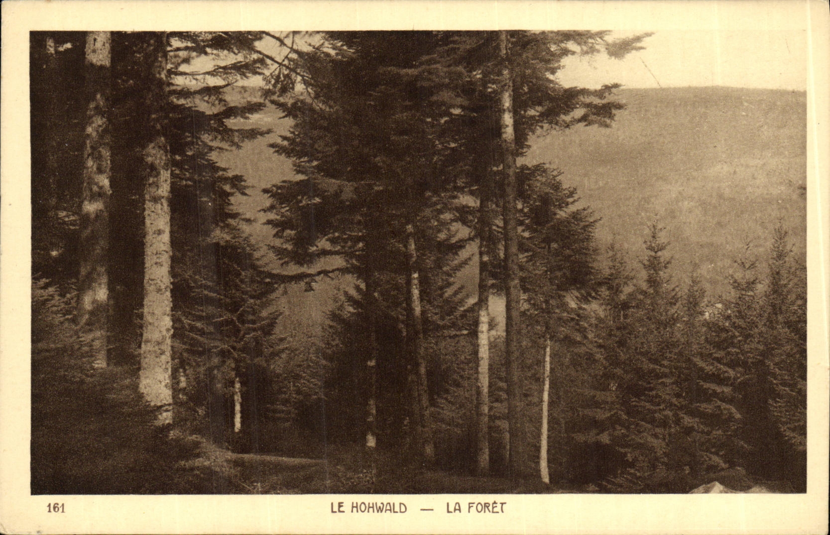 VINTAGE POSTCARD Hohwald the Drill