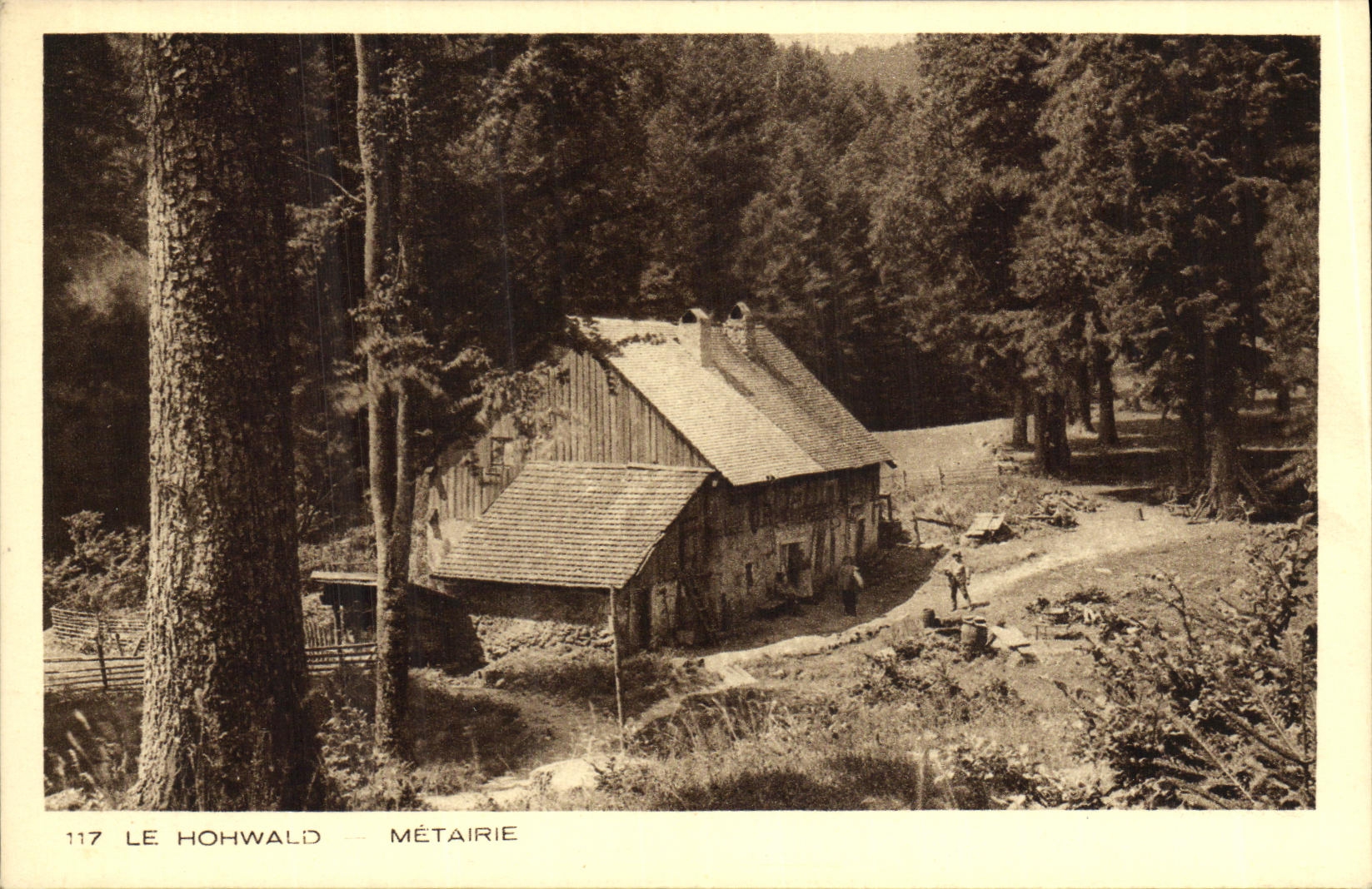 VINTAGE POSTCARD Hohwald Smallholding
