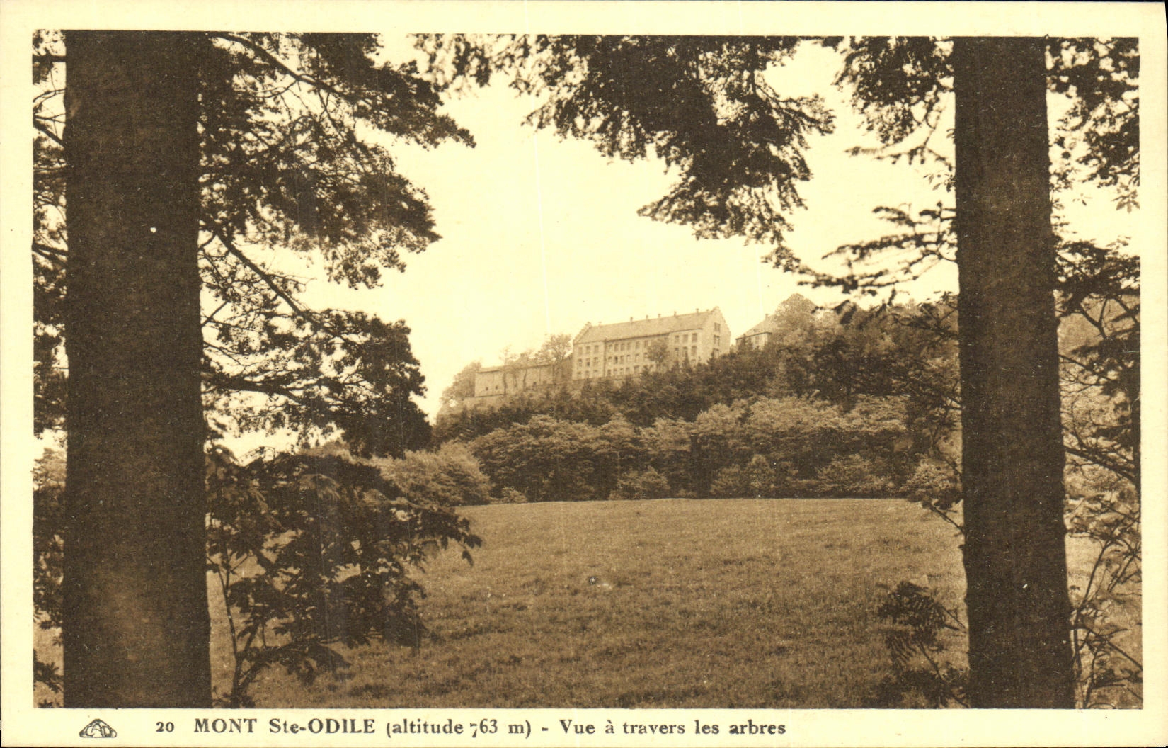 CPA Mont Sainte Odile Vue a travers les Arbres