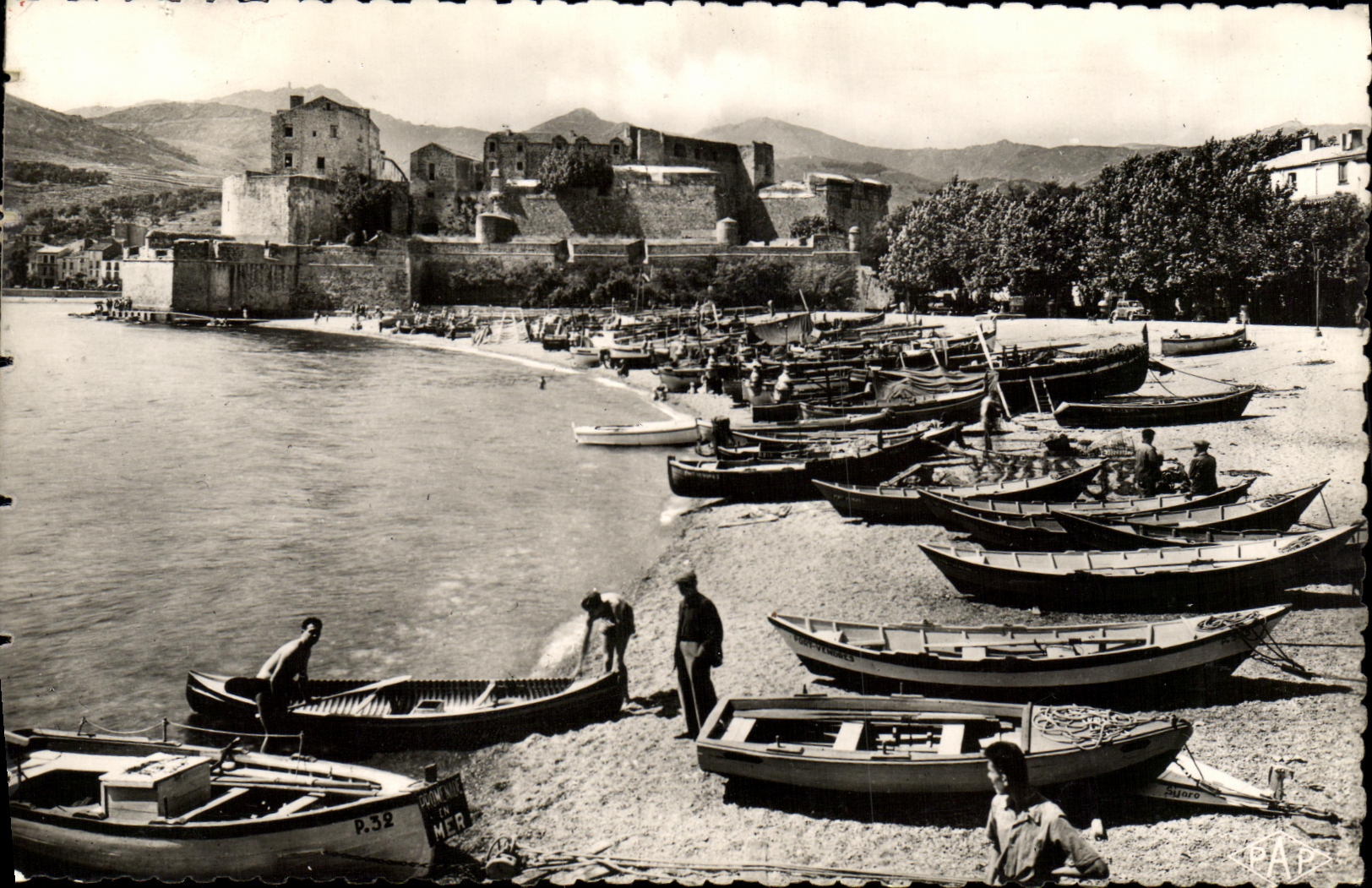 MODERN CARD Collioure the Fishing port Castle of Templiers