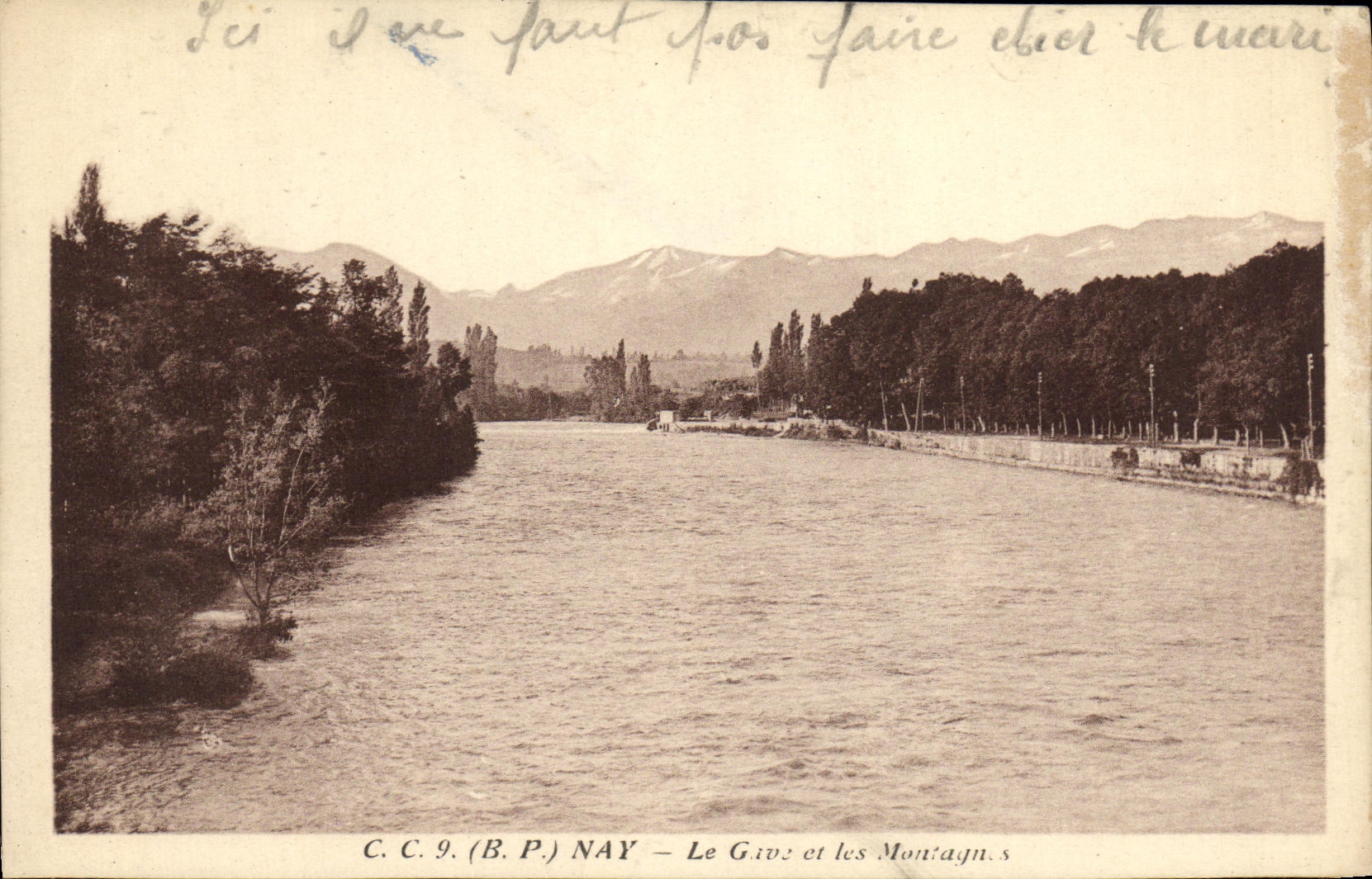 CPA Nay Le Gave et les Montagne