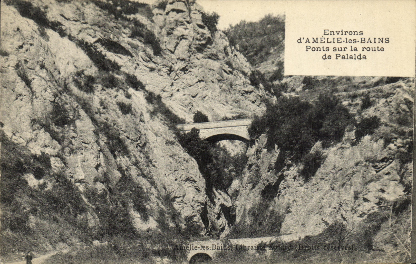 CPA Environs d Amelie Les Bains Ponts sur la Route de Palalda