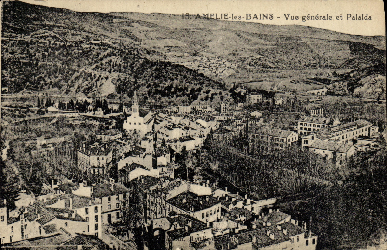 CPA Amelie Les Bains Vue generale et Palalda