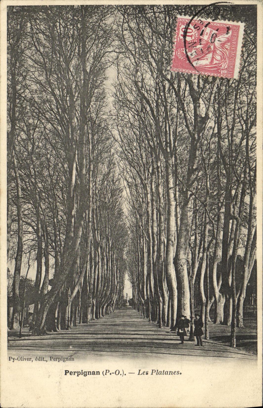 CPA Perpignan Les Platanes
