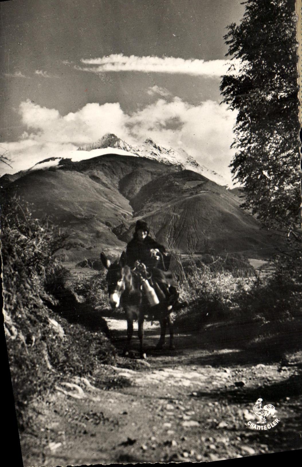 MODERN CARD the Pyrenees Peasant High mountain Ass Mule