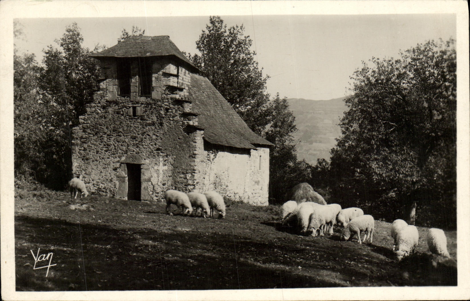 CPA Argeles Chapelle Notre Dame de Castere Moutons