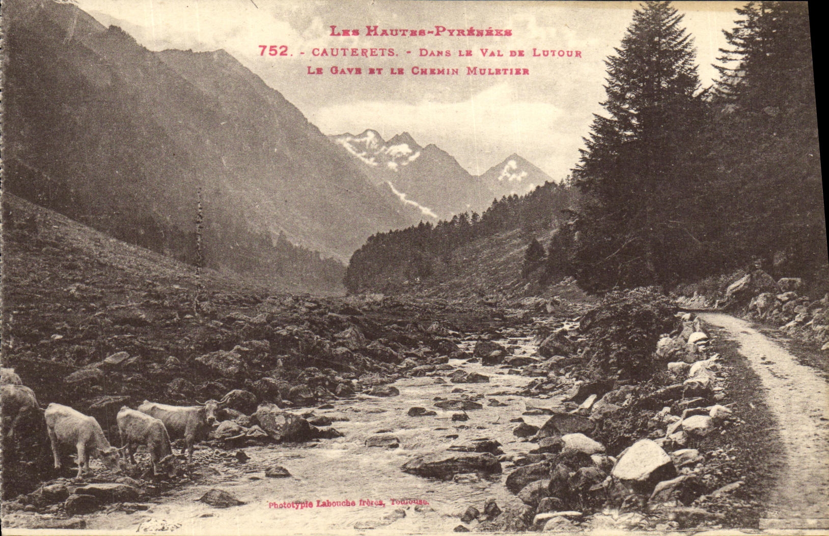VINTAGE POSTCARD Cauterets In the Valley De Lutour Gave And the mule track