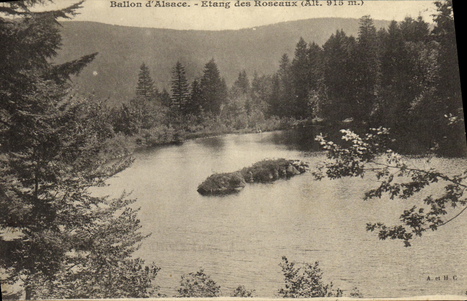 CPA Ballon d Alsace Etang des roseaux