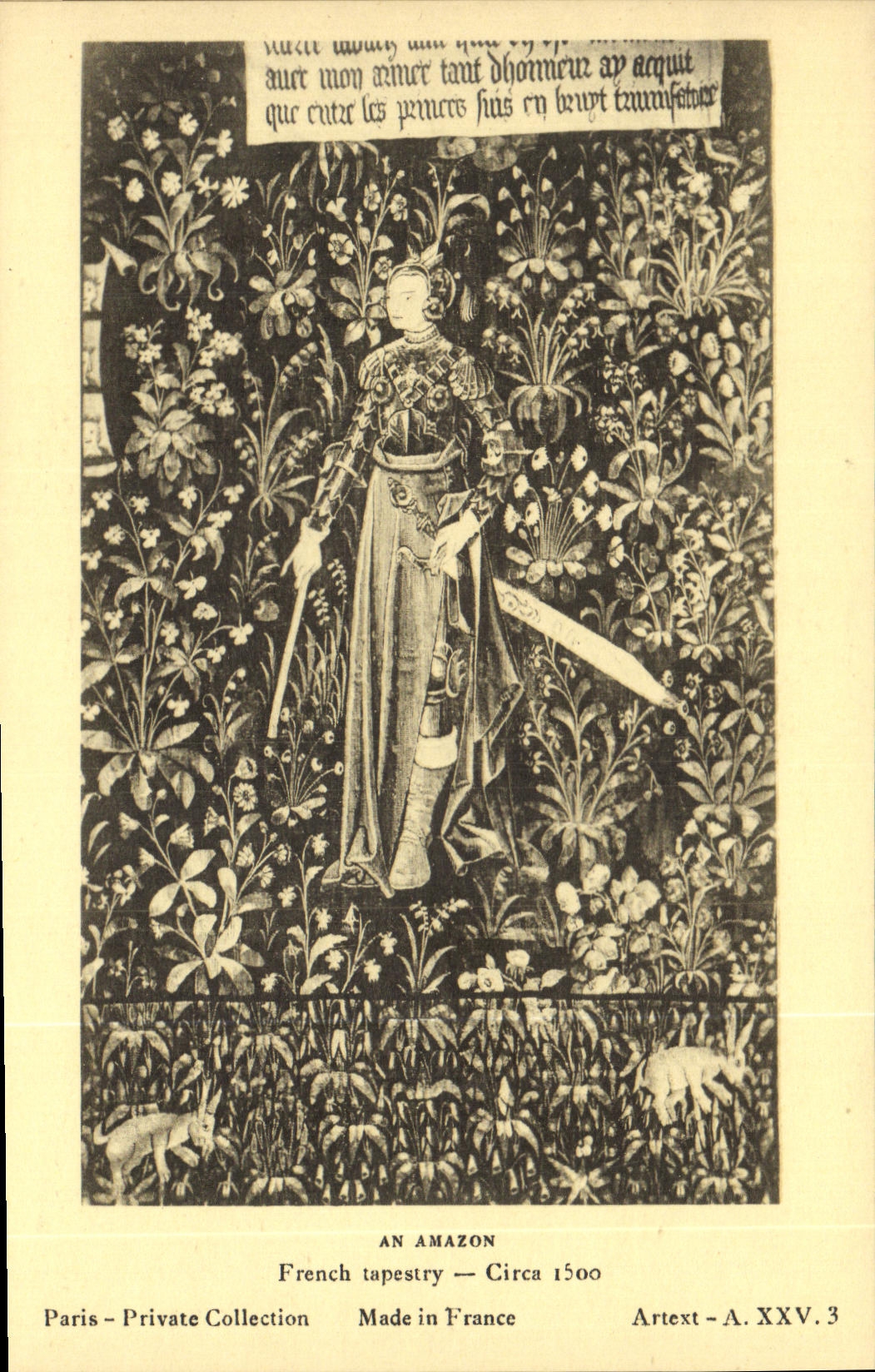 CPA An Amazon French tapestry Circa Paris Priavte Collection