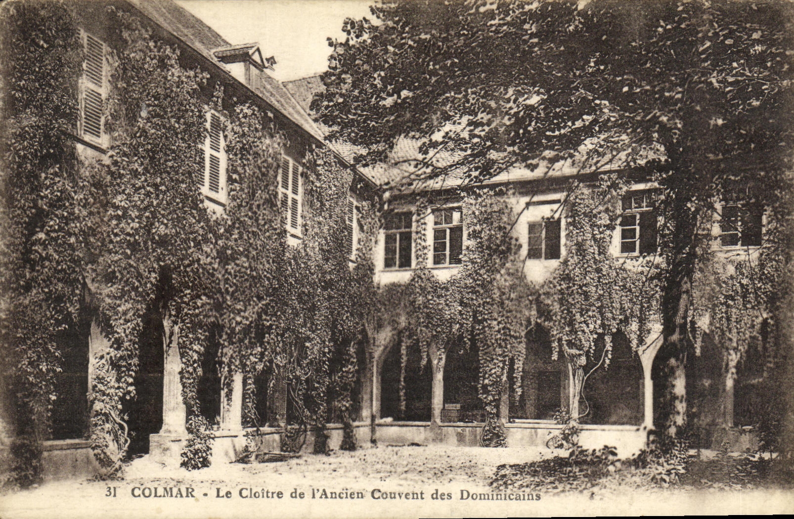 POSTAL Colmar de la VENDIMIA el claustro de L vieja cria las dominicanas