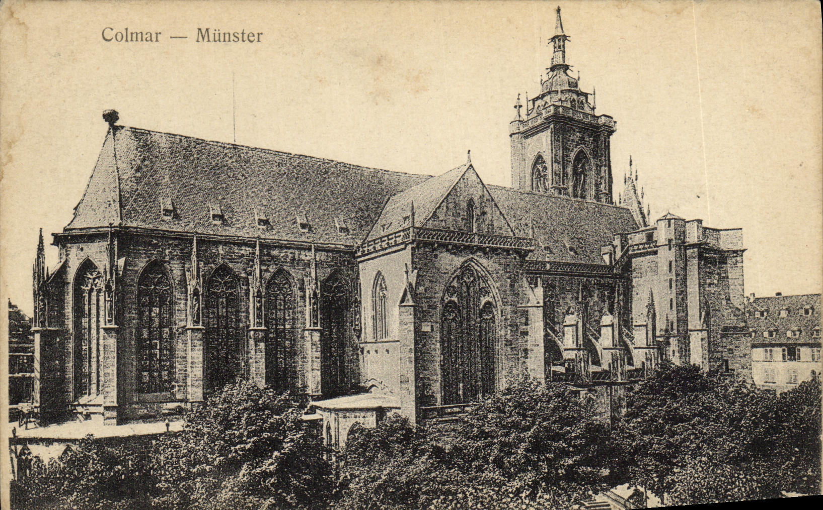 POSTAL Colmar Munster de la VENDIMIA