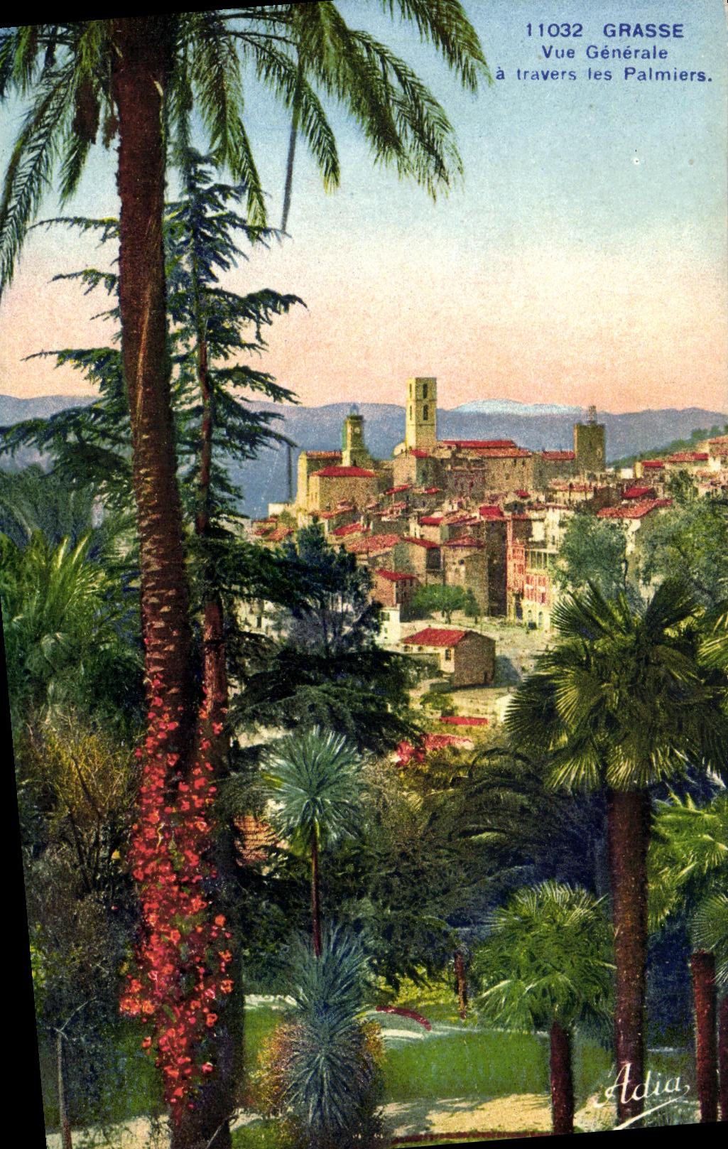 Opinion grasa de la POSTAL de la VENDIMIA a traves de las palmeras