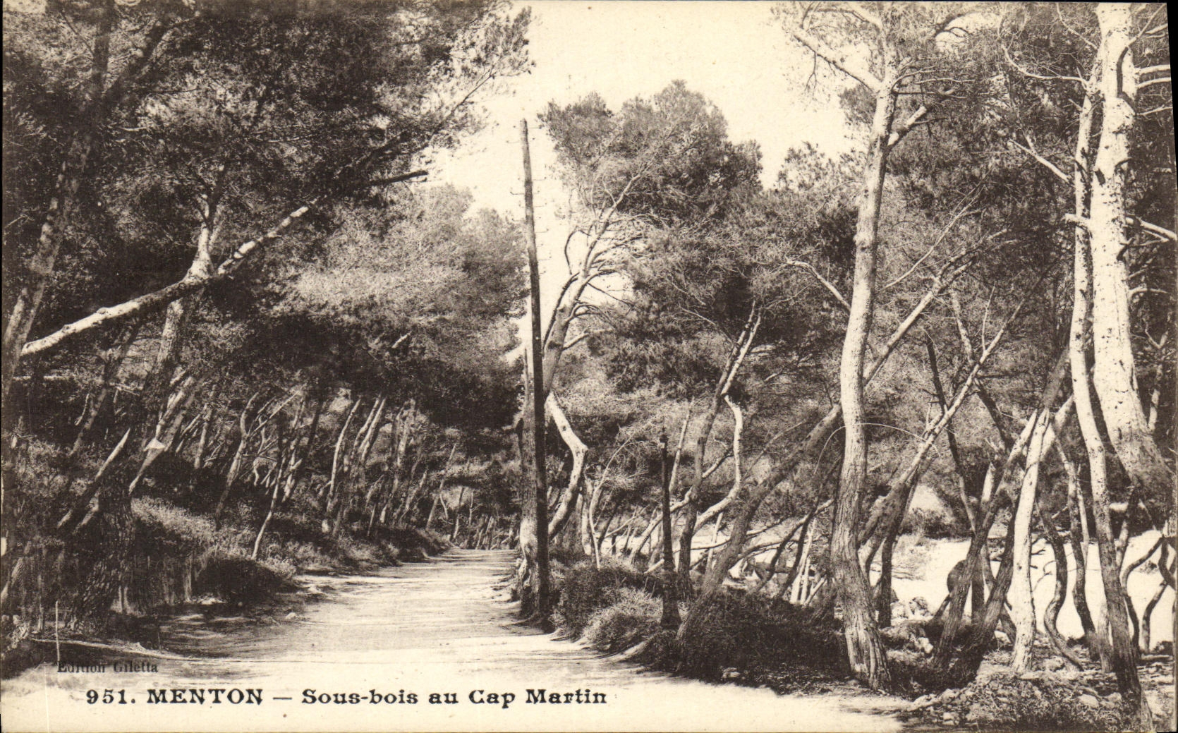 CPA Menton Sous bois au Cap Martin