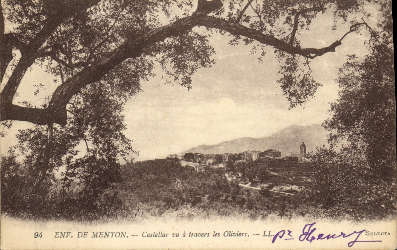 CPA Env De Menton Castellar vu a travers les Oliviers