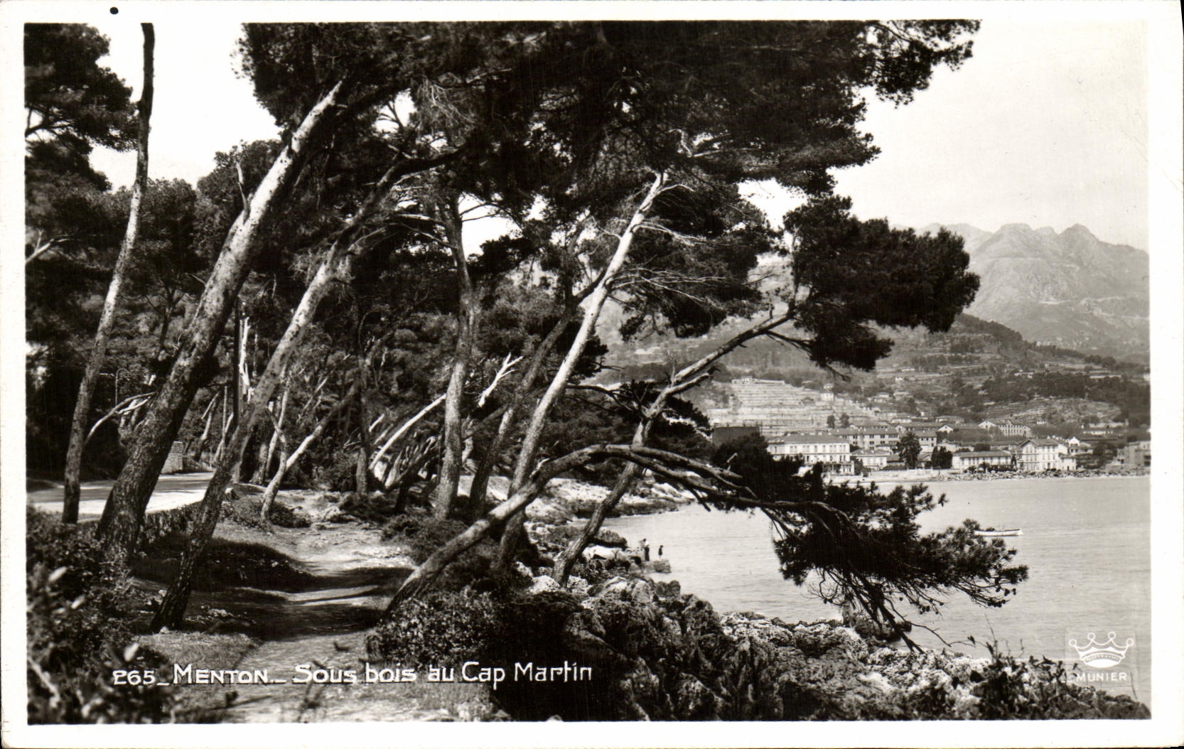 CPA Menton Sous bois au Cap Martin