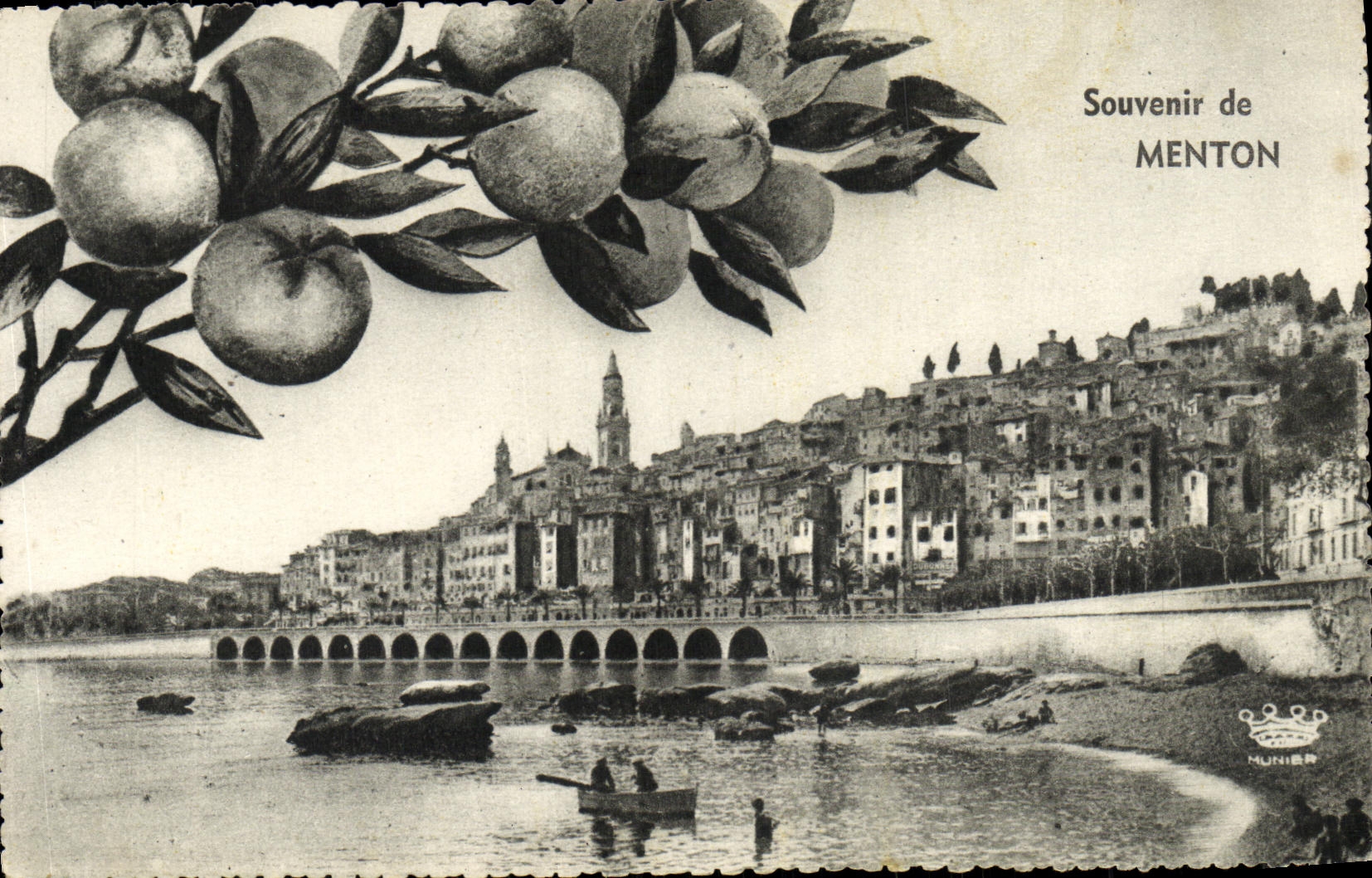 CPA Souvenir de Menton Citrons