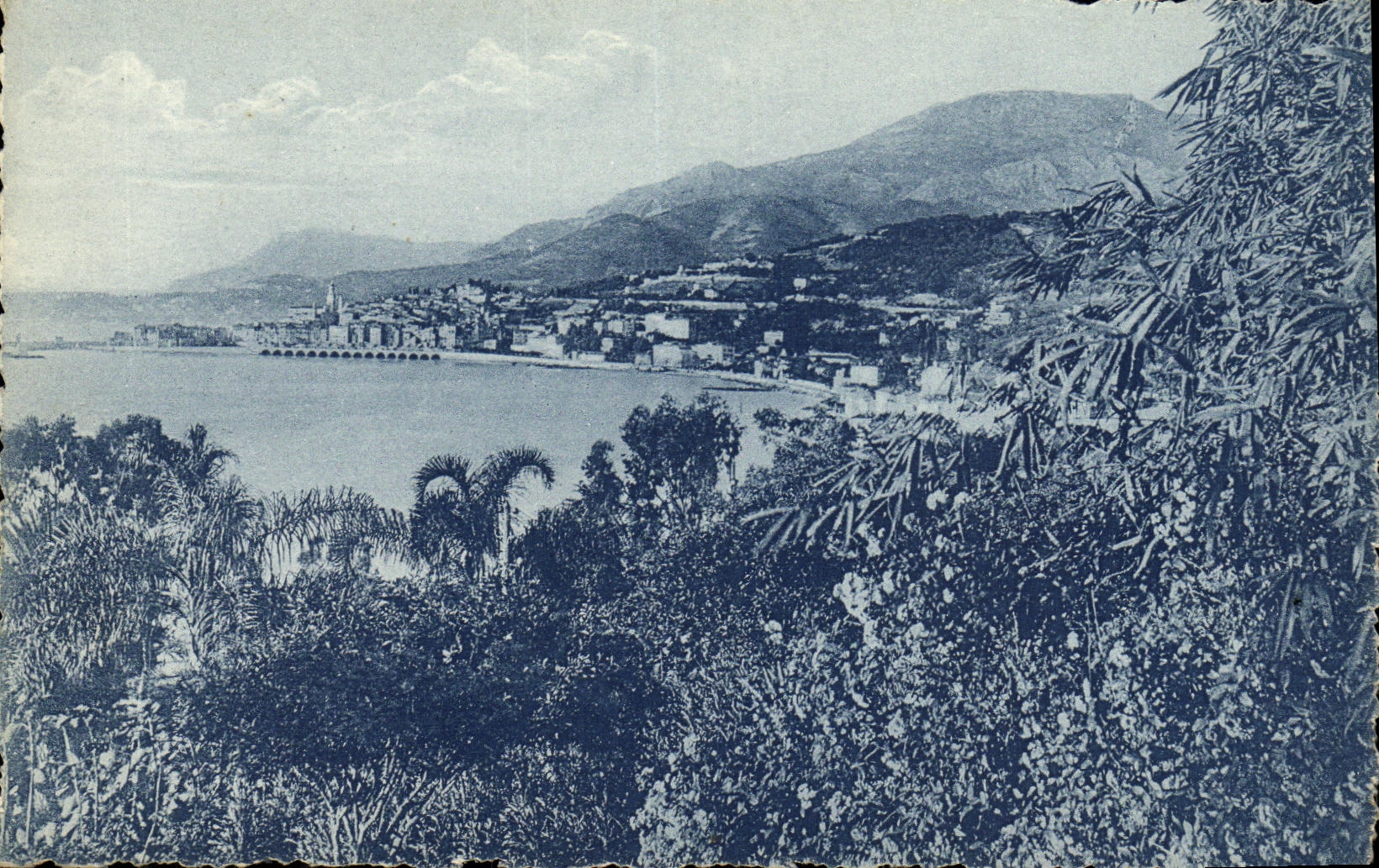 CPA Menton vu des Jardins de Garavan 