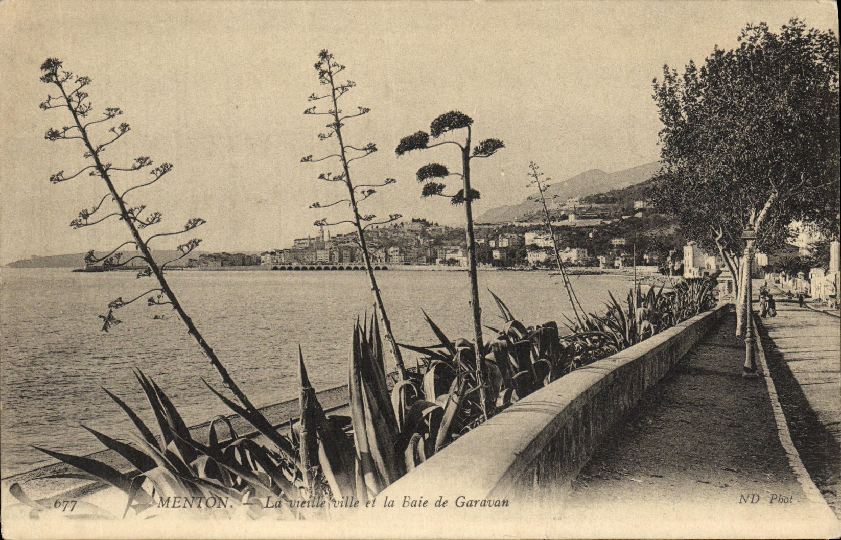 CPA Menton La Vieille Ville et la Baie de Garavan