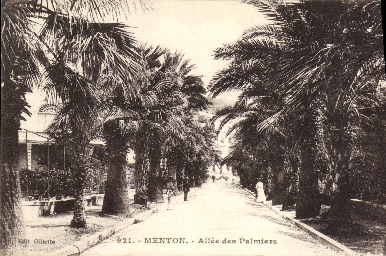 CPA Menton Allee des Palmiers