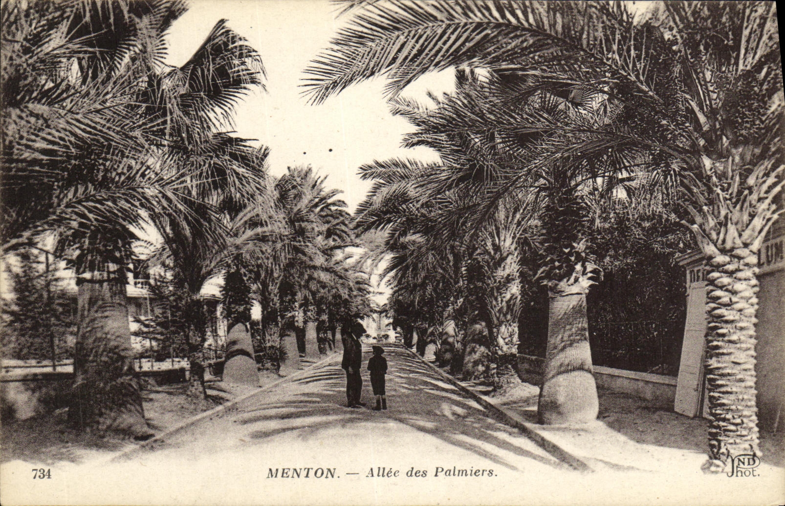 CPA Menton Allee des Palmiers