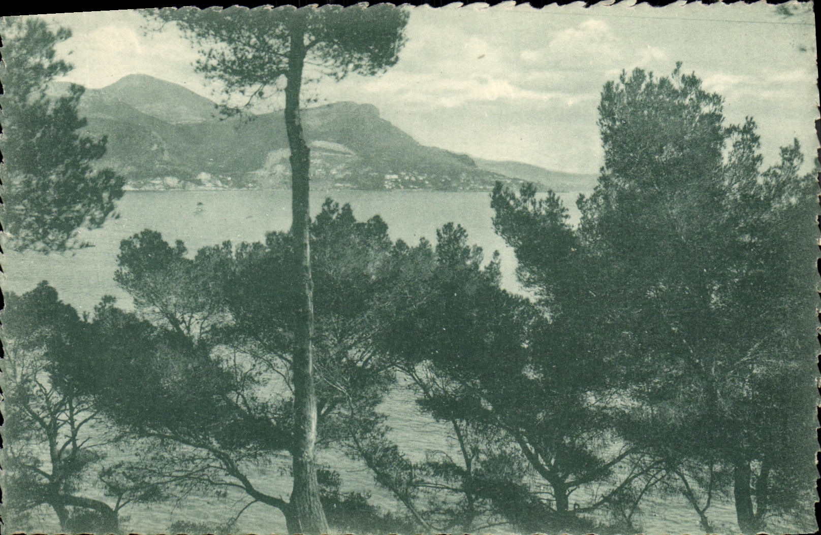 CPA Saint Jean Cap Ferrat Vue sur Beaulieu et la Tete de chien