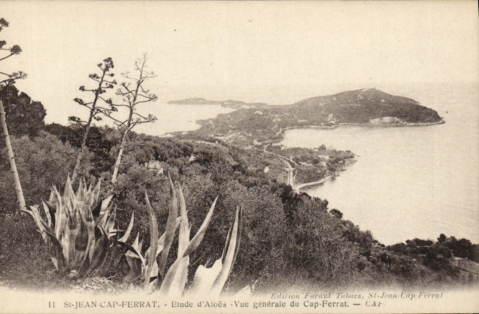 CPA St Jean Cap Ferrat Etude d Aloes Vue generale du Cap Ferrat